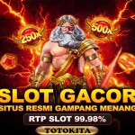 TOTOKITA1 OFFICIAL Profile Picture