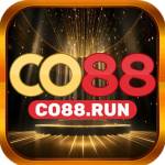co88 run Profile Picture