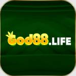 god88 life Profile Picture