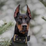 Ángel Mina Profile Picture