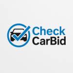 Check Car Bid History Profile Picture