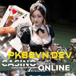 Pk88vn Dev Profile Picture