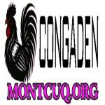 CONGADEN TRỰC TIẾP ĐÁ GÀ THOMO Profile Picture