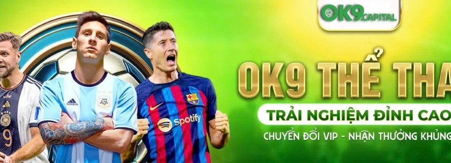 OK9 capital Cover Image