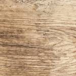 Steve Smith Profile Picture