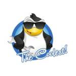 The Coolest LLC Profile Picture