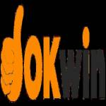 Okwin Blog Profile Picture