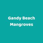Gandy Beach Mangroves Profile Picture