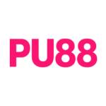 PU88 Profile Picture