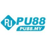 PU88 Profile Picture