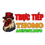 ĐÁ GÀ TRỰC TIẾP THOMO HÔM NAY Profile Picture