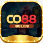 co88rest co88rest Profile Picture