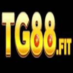 Tg88 fit Profile Picture