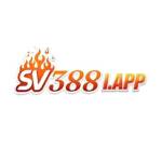 Sv338 Bet Profile Picture