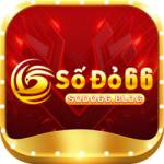 sodo66 blog Profile Picture