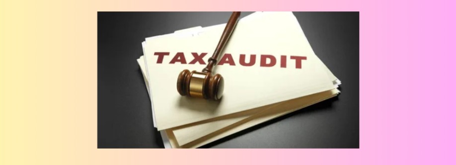 M And M Al Menhali Auditing Cover Image