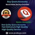Buy Quora Accounts Buy Quora Profile Picture