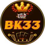 BK33 Org Profile Picture