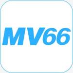 Mv66t com Profile Picture