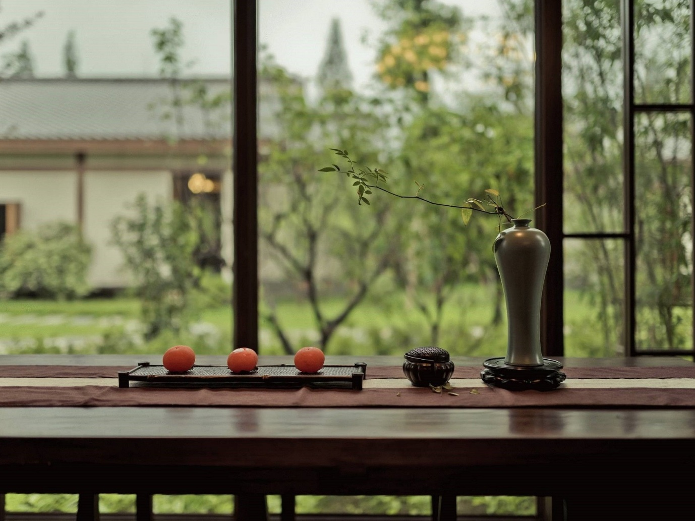 Natural immune booster program