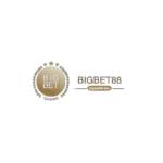 Bigbet88 dev Profile Picture