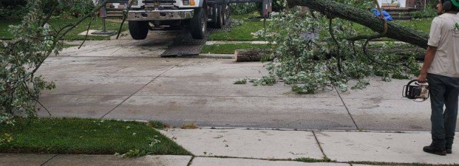 Longtree Tree Service Cover Image