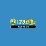 123B 123B Profile Picture