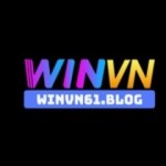 WinVN WinVN Profile Picture