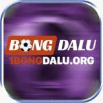 1Bongdalu org Profile Picture
