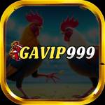 GAVIP999 CAM Profile Picture
