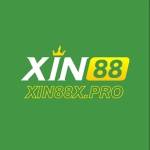 Xin88 Profile Picture