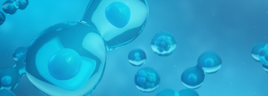 Ann Schaft Cover Image