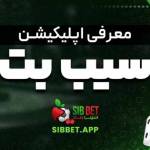 sibbetapp app Profile Picture