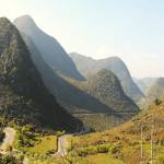 TV PALM Profile Picture