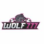 wolf777 Profile Picture