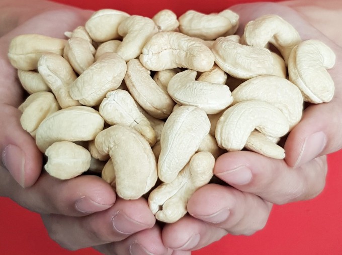 A Complete Guide to Choosing the Best Cashew Nuts Exporter: How Apex Star Trading Leads the Global Market – Telegraph