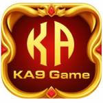 KA9 Game Profile Picture