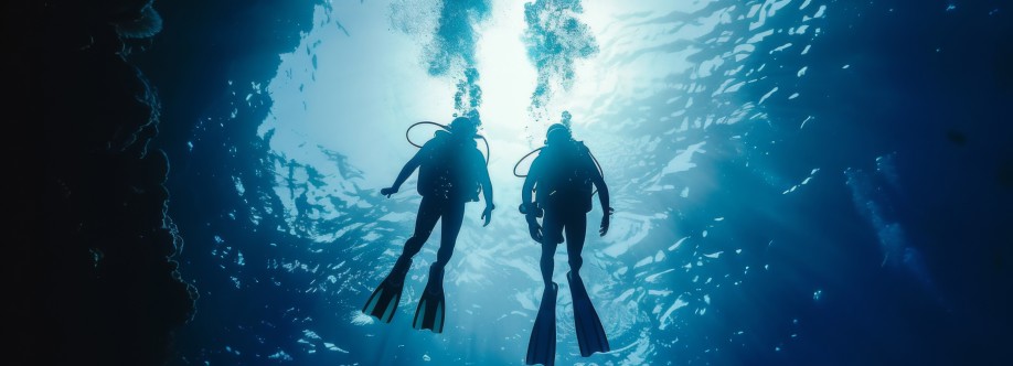 Petro Divers Cover Image