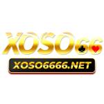 XOSO66 Nhà cái cá cược uy tín an toàn Profile Picture