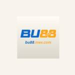 BU88 MEXCOM Profile Picture