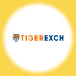 Tiger Exchange Profile Picture