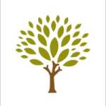 Rejuv Hair Clinic Hair Restoration Profile Picture