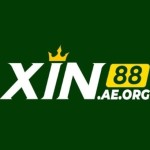 xin88 aeorg Profile Picture