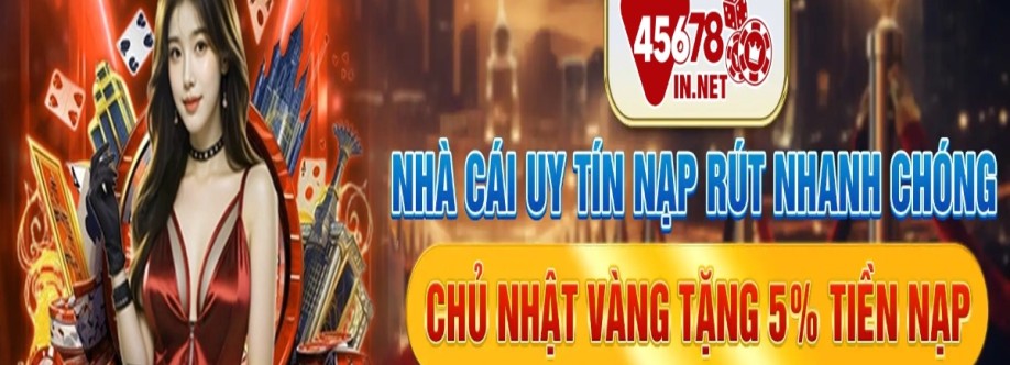 45678 in net Cover Image