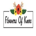 Flowers Of Knox Profile Picture