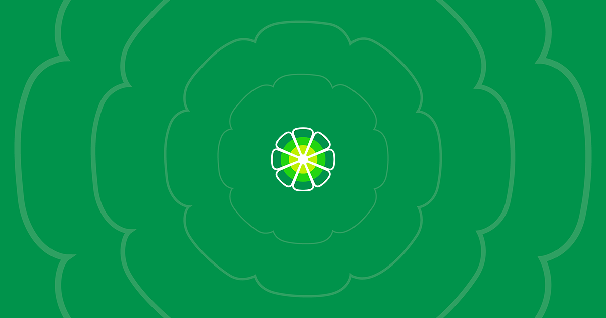 Download Travel Rain Jacket | LimeWire