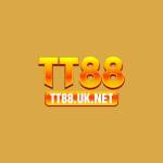 TT88 Profile Picture