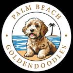 Palm Beach Goldendoodles Profile Picture