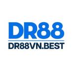 DR 88 profile picture