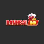 danhbai ink Profile Picture